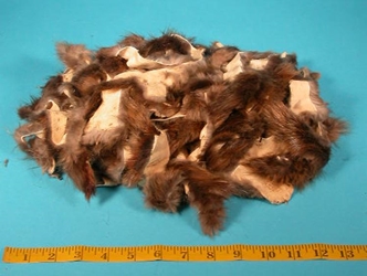 Beaver Fur Scrap (lb) 